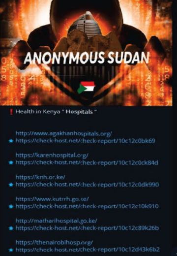 Sudanese Brothers Arrested in ‘AnonSudan’ Takedown